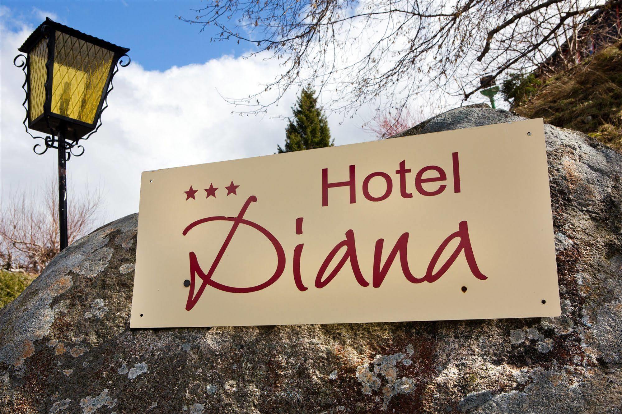 Hotel Diana Feldberg  Exterior foto